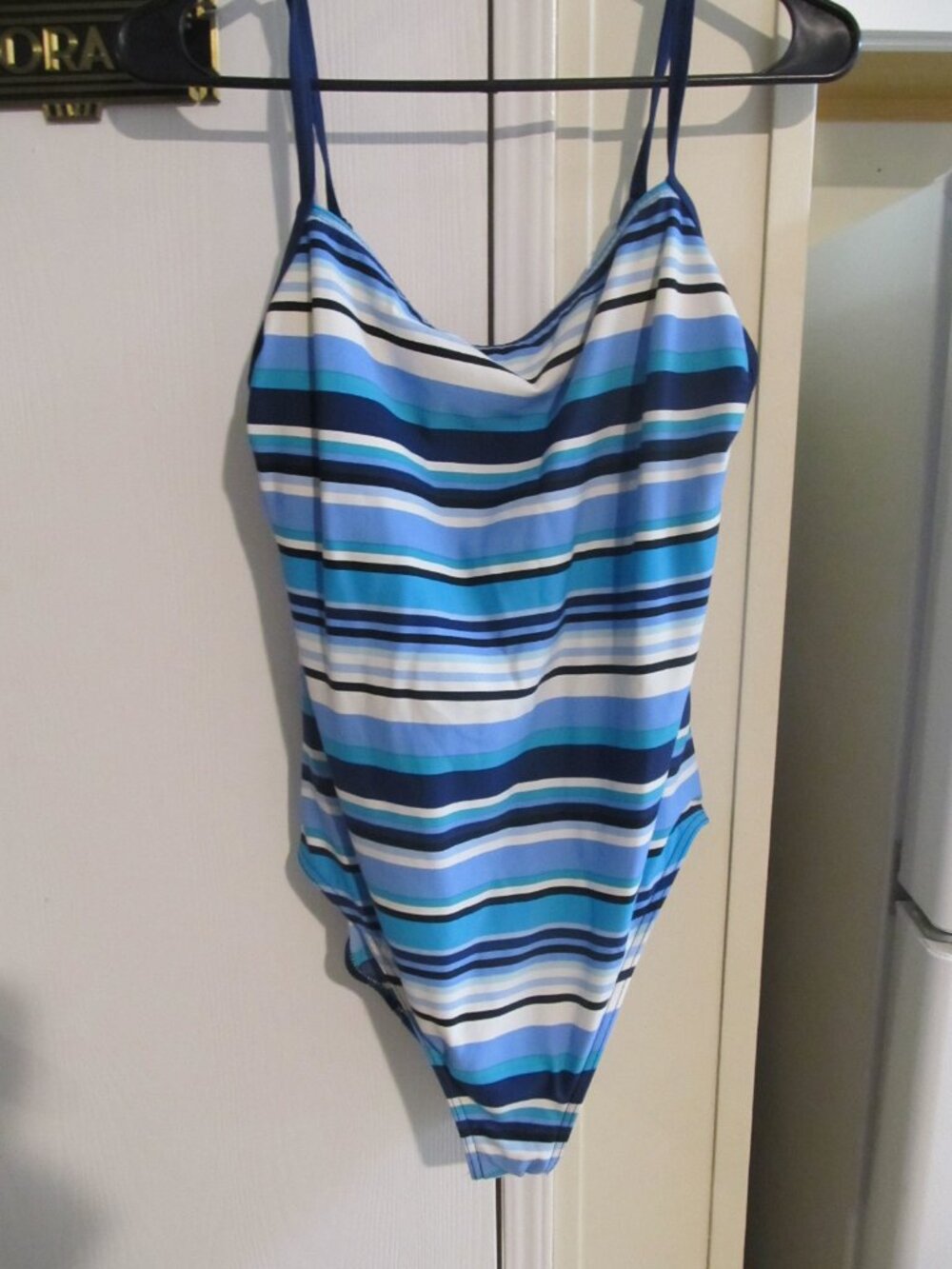Striped Lands End One Piece